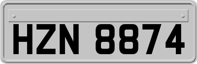 HZN8874