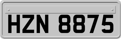 HZN8875