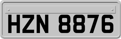 HZN8876