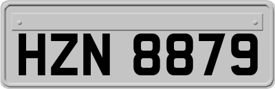 HZN8879