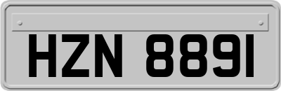 HZN8891