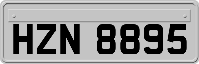 HZN8895
