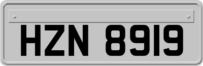 HZN8919