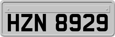 HZN8929