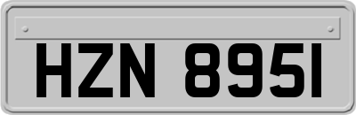 HZN8951