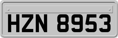 HZN8953