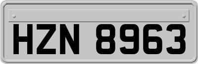 HZN8963