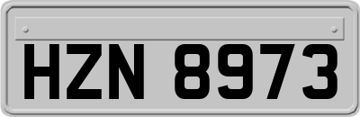 HZN8973