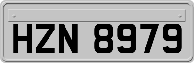 HZN8979