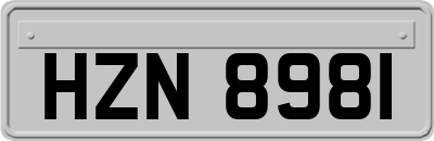 HZN8981