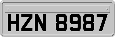 HZN8987