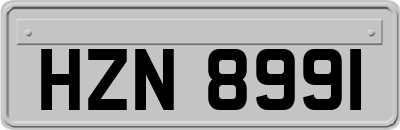 HZN8991