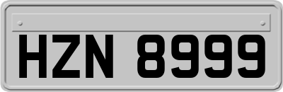 HZN8999