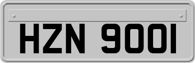 HZN9001