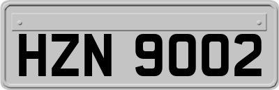 HZN9002