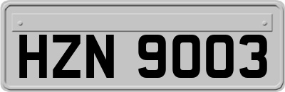 HZN9003