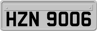 HZN9006