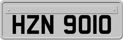 HZN9010
