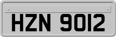 HZN9012