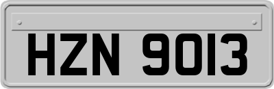 HZN9013