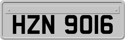 HZN9016
