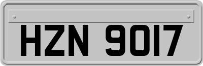 HZN9017