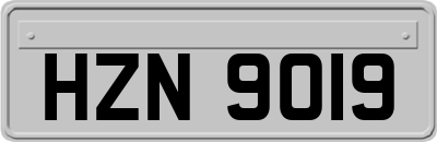 HZN9019
