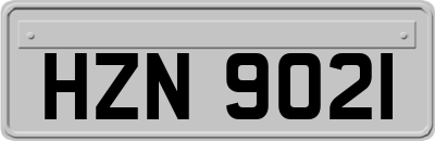 HZN9021