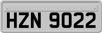 HZN9022