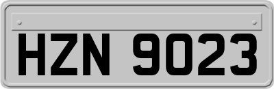 HZN9023