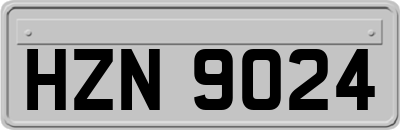 HZN9024