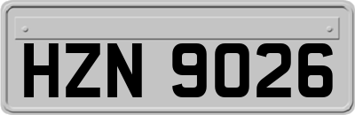 HZN9026