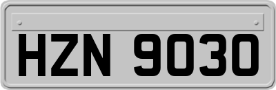 HZN9030