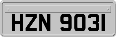 HZN9031