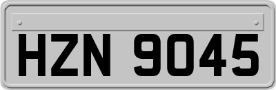 HZN9045
