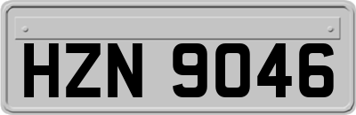 HZN9046
