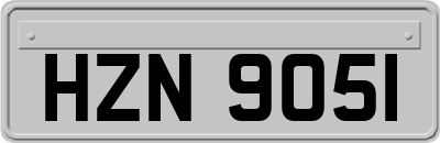 HZN9051