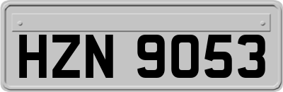 HZN9053