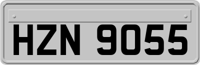 HZN9055