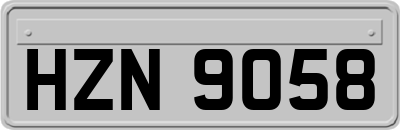 HZN9058