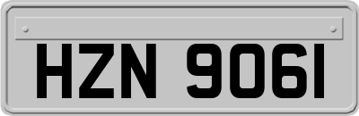 HZN9061