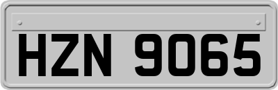 HZN9065