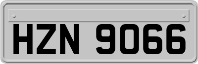 HZN9066