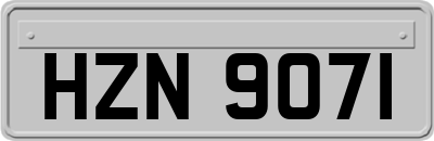 HZN9071