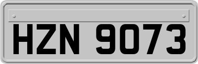 HZN9073