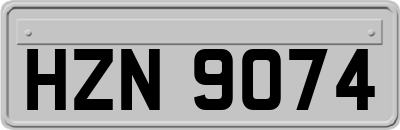 HZN9074