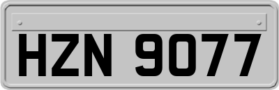 HZN9077