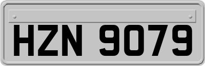 HZN9079