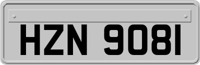 HZN9081