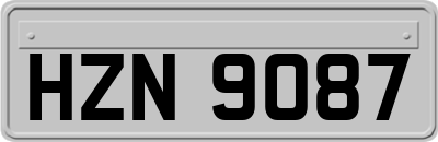HZN9087